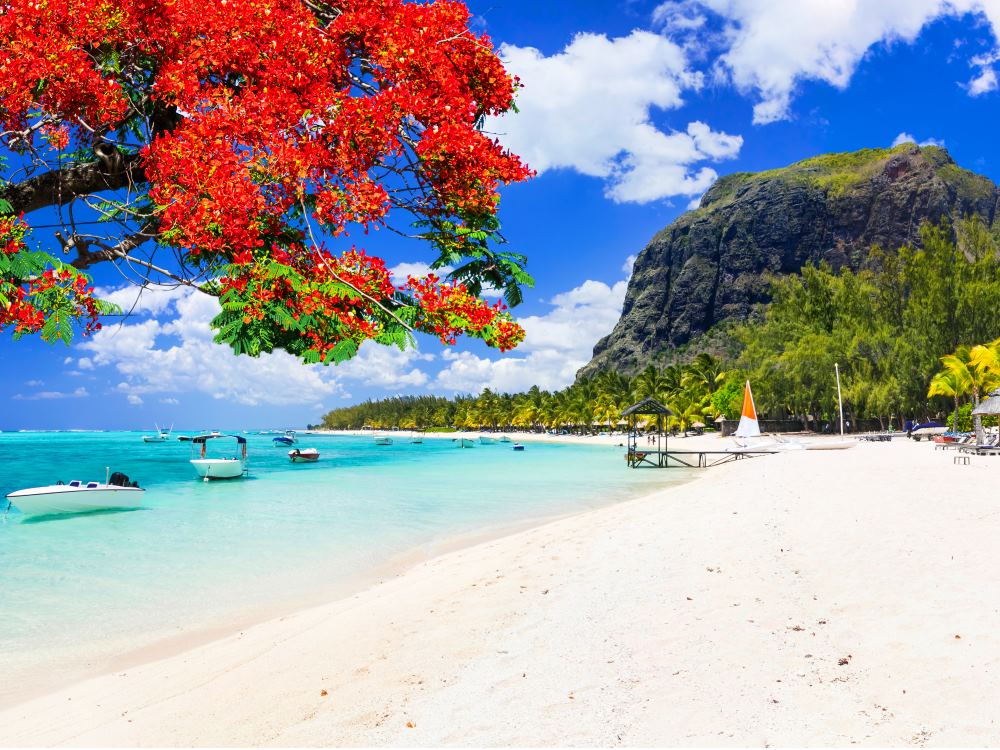 ile maurice